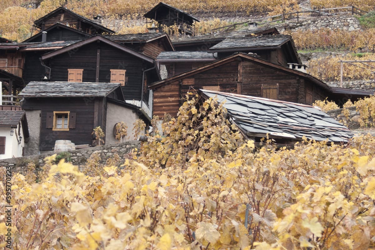 Symbolbild: alte Holzhäuschen mit Schieferdächern zwischen herbstlichen Reben im Wallis